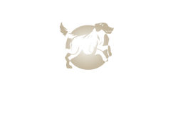 anp23