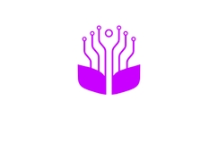it6